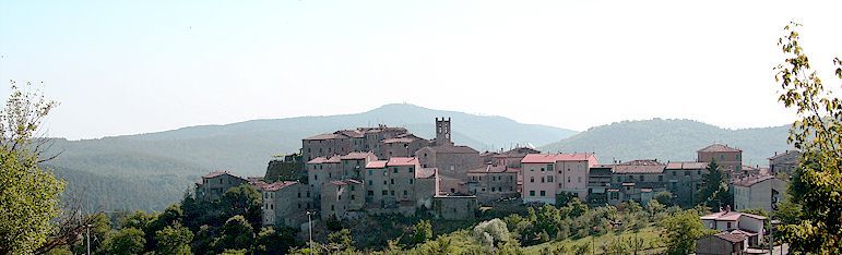 Torniella panorama